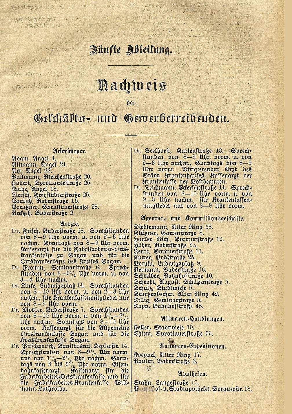 CD vom Buch   Adressbuch von Sagan 1909 Schlesien (3)